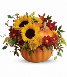 Autumn Joy from Martinsville Florist, flower shop in Martinsville, NJ